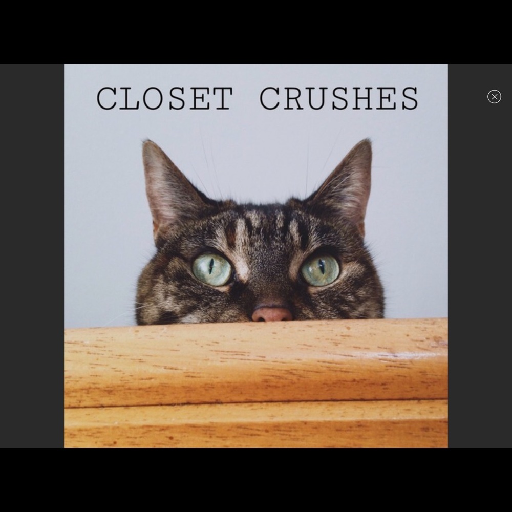 β€οΈπWhat an indoor cat misses !πβ€οΈ - Picture 2 of 3